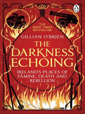 cover image of The Darkness Echoing